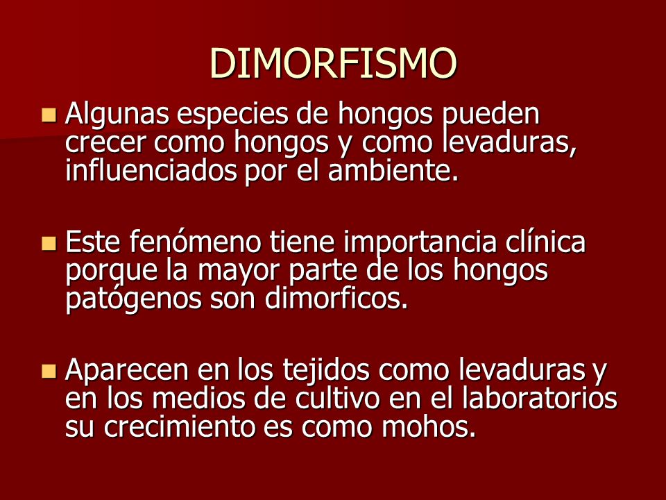 Como sacar el hongo de los pies